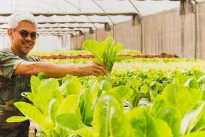 Asian male farmers hands with fresh lettuce in organic farm. photo