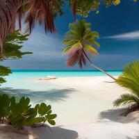 Maldives white sand beach and blue transparent ocean - image photo