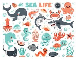 Cartoon Illustration Of Sea Life Elements vector