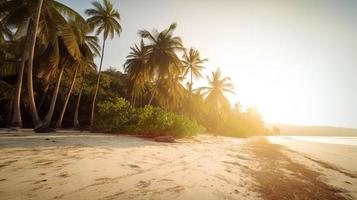 Tropical Paradise or Coconut Palm Beach or White Sand Lagoon photo