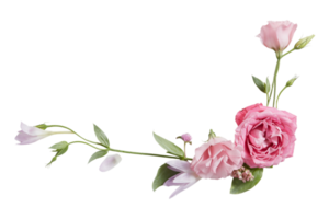 Pink flowers isolated on a transparent background png