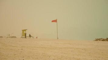 sandstorm on beach in Corralejo, Fuerteventura video