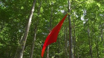 Turkish flag hanging in nature. The Turkish flag hanging between the trees is fluctuating. video