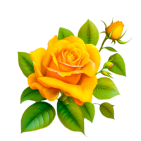 yellow rose flower free illustration png