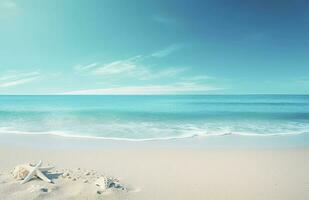 Seashells and starfish on the beautiful tropical beach and sea with blue sky background. Summer vacation concept photo