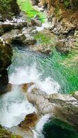 claro montaña río fluye entre piedras rodeado por salvaje naturaleza video