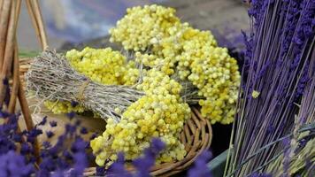 Dry Lavender Bunches Close up video