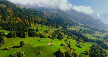 aéreo ver de el hermosa otoño suizo naturaleza, Suiza video