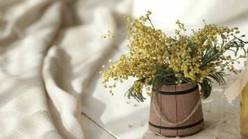 Mimosa flowers on an old piece of sackcloth video