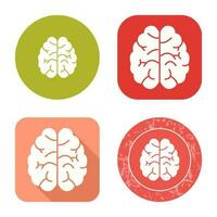 Brain Vector Icon