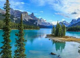 Nature green landscape sky background photo