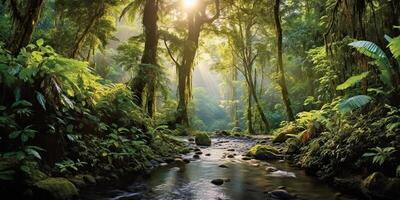 . . Nature outdoor wild landscape forest jungle river scene. Adventure travel explore vibe. Graphic Art photo