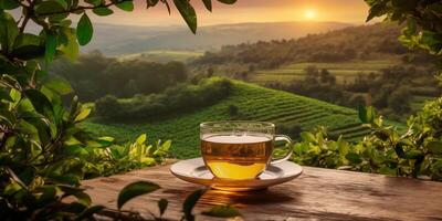 . . Cup of green tea with field green plantation mountain background scene. Graphic Art photo