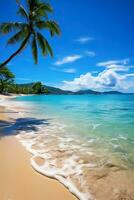 A beautiful sandy beach with a vibrant tropical sea photo