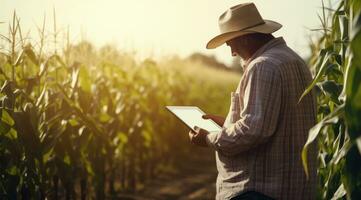 Male farmer using digital tablet while analyzing corn field photo