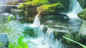 ligero azul cascada con un fuerte actual. entre el musgos y plantas el puesta de sol ligero en naturaleza video