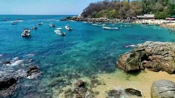 Palmeiras guarda-sóis Sol espreguiçadeiras de praia pessoas zicatela porto escondido México. video