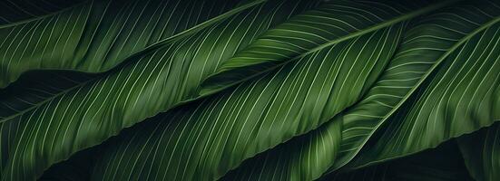 Abstract green leaf texture with nature background, tropical leaf. Generative AI photo