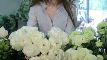 Female hands moves white roses at flower shop video