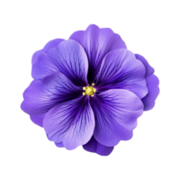 AI generated Violet flower isolated on Transparent background png