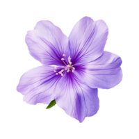 AI generated Violet flower isolated on Transparent background png