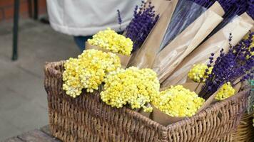 Dry Lavender Bunches Close up , video