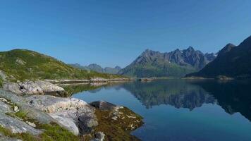 a zangão é vôo através uma barraca localizado em a costa do a norueguês fiorde. aventura e viagem conceito. lofoten ilhas. 4k video