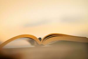 Outdoors Evening with a Book photo