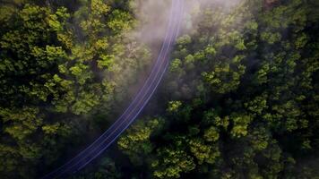 verde branco vídeo cêntrico viagem vídeo zangão tiro video