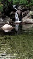 vertical vídeo de increíble cascada en naturaleza video