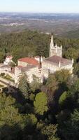 vertical vídeo do bussaco Palácio Portugal aéreo Visão video