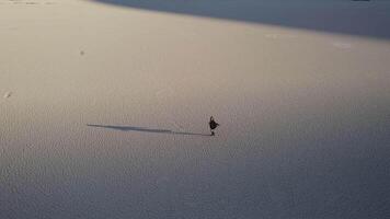 walking on dried up lake in DeadVlei in Namibia video