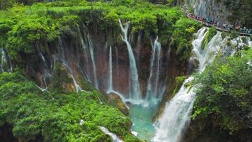 plitvice lagos nacional parque con muchos cascadas limpiar agua fluye desde acantilados en cascadas. naturaleza en Croacia. video