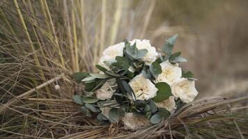 White bouquet of roses lying on dry grass. Action. Close up of beautiful bride bouquet of roses with green petals on withered autumn grass, natural background. video