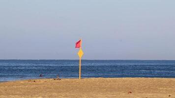 Puerto Escondido Oaxaca Mexico 2022 Red flag swimming prohibited high waves in Puerto Escondido Mexico. video