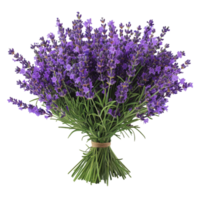 Bouquet of Lavender Flowers png