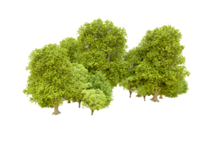 Green forest isolated on background. 3d rendering - illustration png