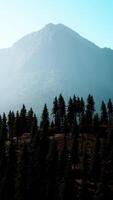 vista aérea da montanha rochosa canadense video