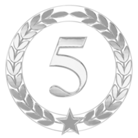 Anniversary Number 5 Silver png