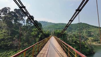 uma suspensão ponte alongar sobre exuberante verde florestas e colinas durante uma brilhante verão dia, perfeito para viagem, exploração, e aventura temático projetos video