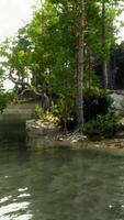 deslumbrante montanha vista, com uma tranquilo lago e imponente pinheiros video