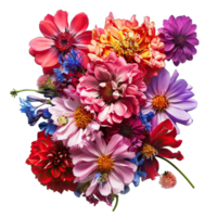 A vibrant Flower png