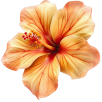 A vibrant Flower png