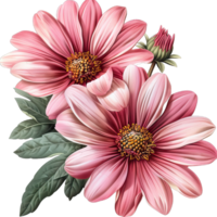 A vibrant Flower png