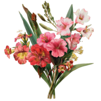 A vibrant Flower png