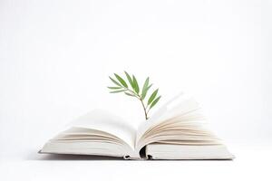 Open Book with Green Plant photo