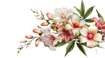 Delicate Pink and White Flowers Blooming on a Transparent Background, a Beautiful Floral Arrangement for Design Inspiration. png