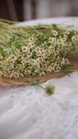 Freshly Gathered Daisies on Paper Wrap on the table video