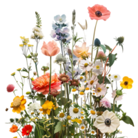 A Bouquet of Vibrant Flowers with a Transparent Background png