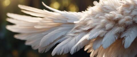 ángel alas dos hermosa mullido oferta alas de un pájaro con blanco plumas macro con suave enfocar. foto